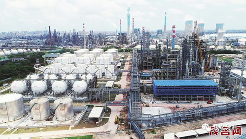 李紅軍書記調研重點產業項目建設狀況,提了哪些要求